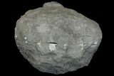 Keokuk Quartz Geode with Calcite & Pyrite Crystals - Missouri #144767-1